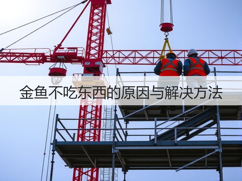 金鱼不吃东西的原因与解决方法
