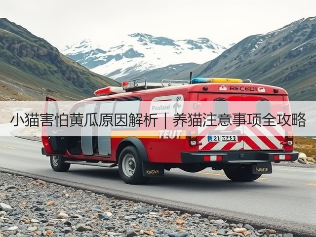 小猫害怕黄瓜原因解析｜养猫注意事项全攻略(图3)