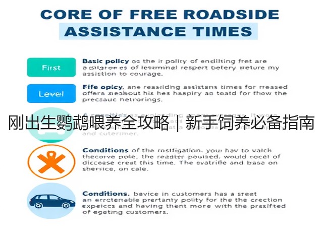 刚出生鹦鹉喂养全攻略|新手饲养必备指南(图2) 刚出生鹦鹉喂养全攻略|新手饲养必备指南(图2)