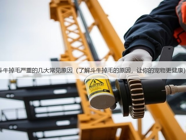 斗牛掉毛严重的几大常见原因(了解斗牛掉毛的原因,让你的宠物更健康)(图2) 斗牛掉毛严重的几大常见原因(了解斗牛掉毛的原因,让你的宠物更健康)(图2)