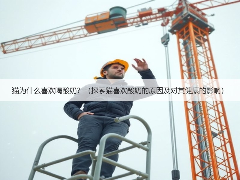 猫为什么喜欢喝酸奶？（探索猫喜欢酸奶的原因及对其健康的影响）