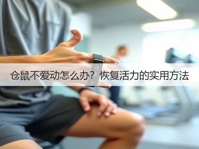 仓鼠不爱动怎么办?恢复活力的实用方法(图1) 仓鼠不爱动怎么办?恢复活力的实用方法(图1)