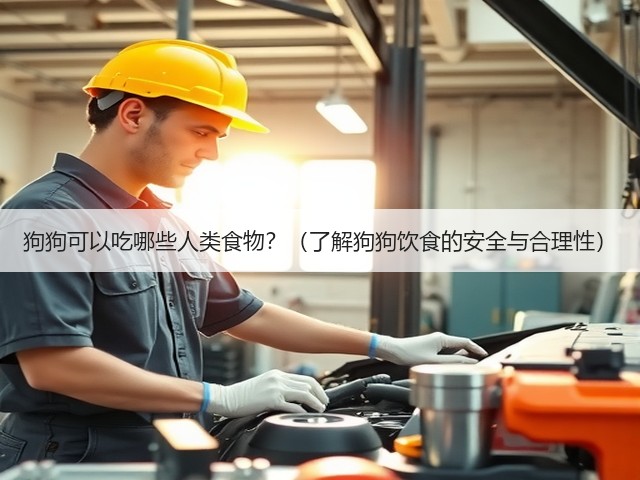 狗狗可以吃哪些人类食物？（了解狗狗饮食的安全与合理性）(图1)