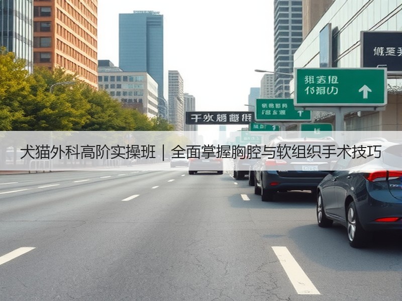 犬猫外科高阶实操班｜全面掌握胸腔与软组织手术技巧