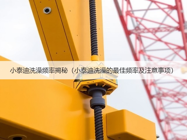 小泰迪洗澡频率揭秘(小泰迪洗澡的最佳频率及注意事项)(图2) 小泰迪洗澡频率揭秘(小泰迪洗澡的最佳频率及注意事项)(图2)