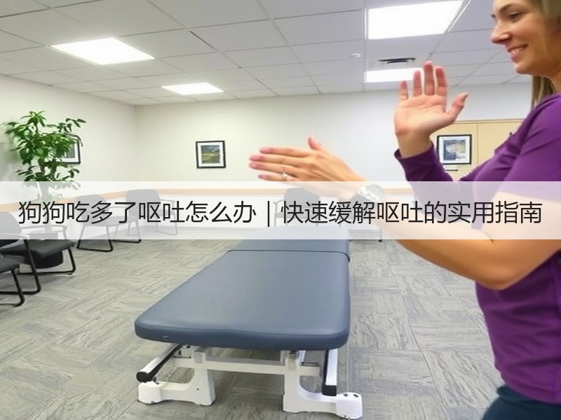 狗狗吃多了呕吐怎么办｜快速缓解呕吐的实用指南