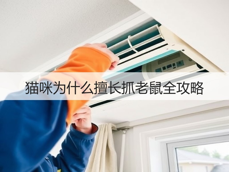 猫咪为什么擅长抓老鼠全攻略