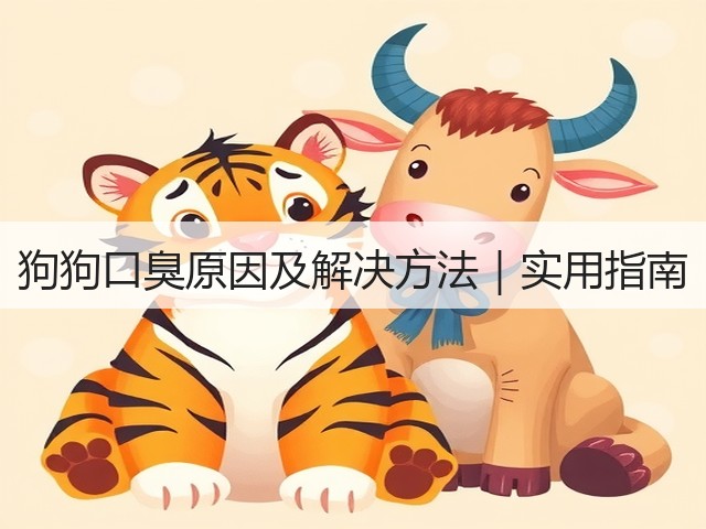 狗狗口臭原因及解决方法｜实用指南(图1)