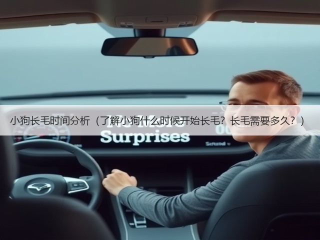 小狗长毛时间分析(了解小狗什么时候开始长毛?长毛需要多久?)(图3) 小狗长毛时间分析(了解小狗什么时候开始长毛?长毛需要多久?)(图3)
