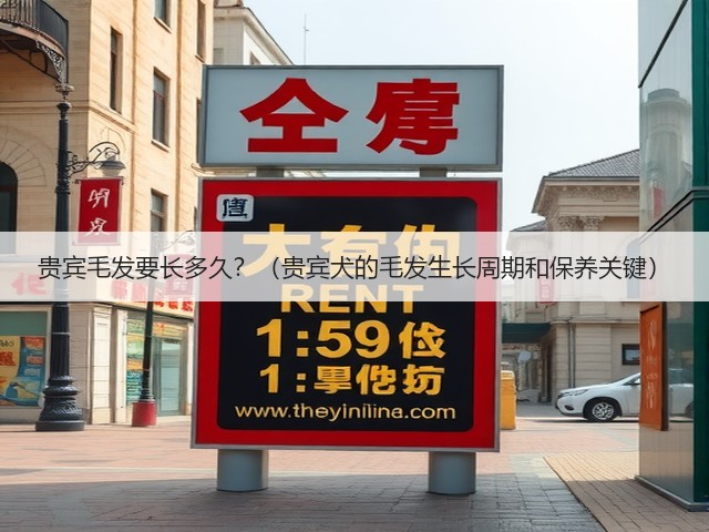 贵宾毛发要长多久?(贵宾犬的毛发生长周期和保养关键)(图2) 贵宾毛发要长多久?(贵宾犬的毛发生长周期和保养关键)(图2)
