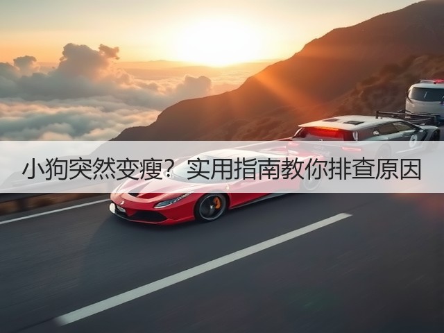 小狗突然变瘦？实用指南教你排查原因(图2)