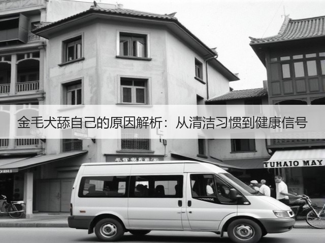 金毛犬舔自己的原因解析:从清洁习惯到健康信号(图3) 金毛犬舔自己的原因解析:从清洁习惯到健康信号(图3)