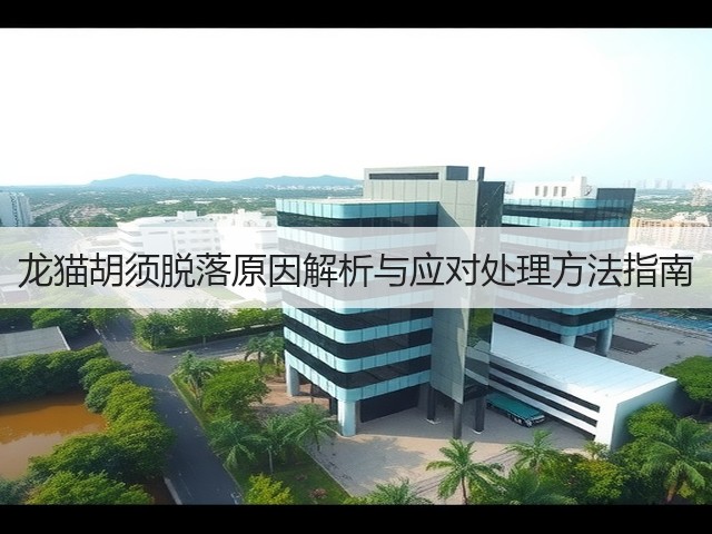 龙猫胡须脱落原因解析与应对处理方法指南(图1) 龙猫胡须脱落原因解析与应对处理方法指南(图1)
