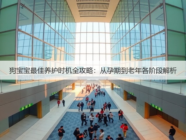 狗宝宝最佳养护时机全攻略:从孕期到老年各阶段解析(图1) 狗宝宝最佳养护时机全攻略:从孕期到老年各阶段解析(图1)