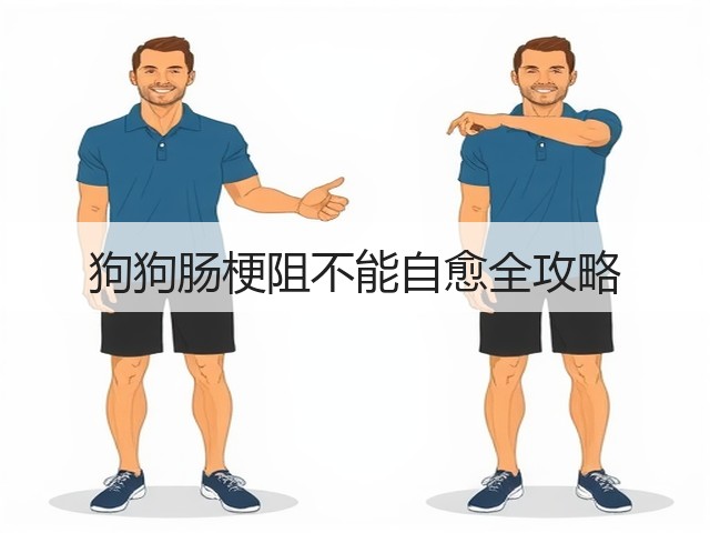 狗狗肠梗阻不能自愈全攻略(图2) 狗狗肠梗阻不能自愈全攻略(图2)
