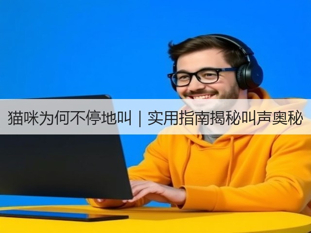 猫咪为何不停地叫|实用指南揭秘叫声奥秘(图3) 猫咪为何不停地叫|实用指南揭秘叫声奥秘(图3)