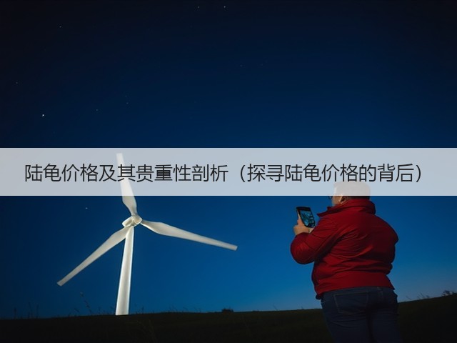 陆龟价格及其贵重性剖析(探寻陆龟价格的背后)(图1) 陆龟价格及其贵重性剖析(探寻陆龟价格的背后)(图1)