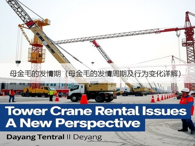 母金毛的发情期(母金毛的发情周期及行为变化详解)(图1) 母金毛的发情期(母金毛的发情周期及行为变化详解)(图1)