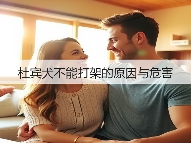 杜宾犬不能打架的原因与危害(图2) 杜宾犬不能打架的原因与危害(图2)