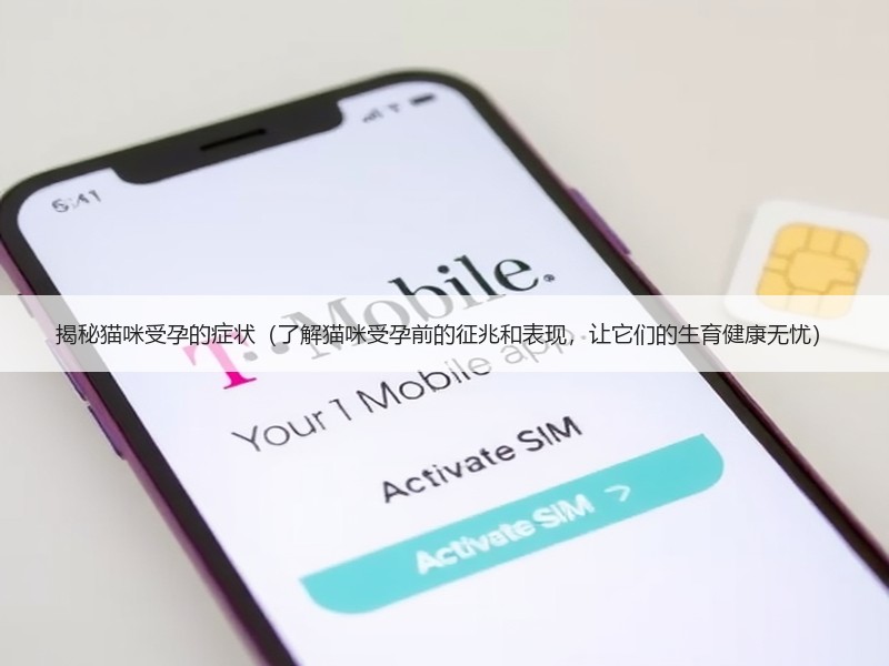 揭秘猫咪受孕的症状（了解猫咪受孕前的征兆和表现，让它们的生育健康无忧）