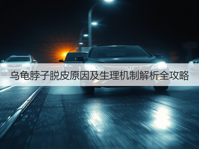 乌龟脖子脱皮原因及生理机制解析全攻略(图2) 乌龟脖子脱皮原因及生理机制解析全攻略(图2)