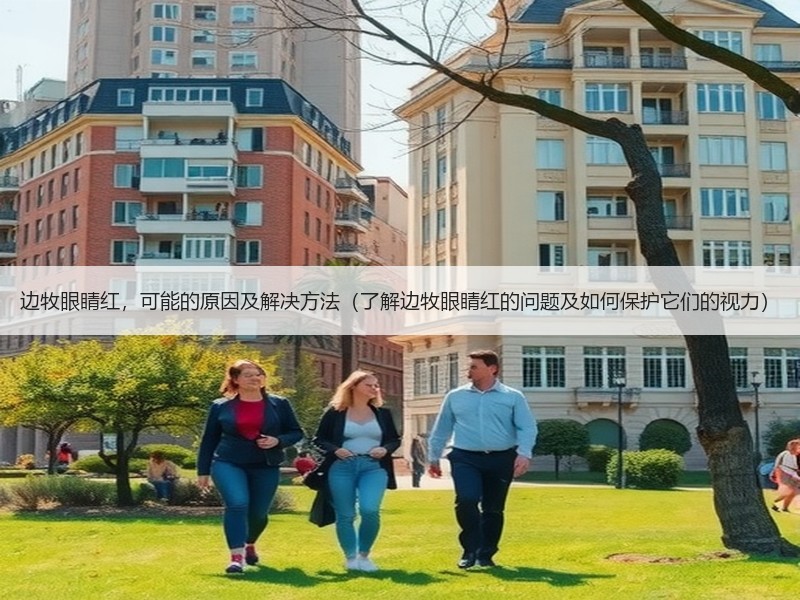 边牧眼睛红，可能的原因及解决方法（了解边牧眼睛红的问题及如何保护它们的视力）
