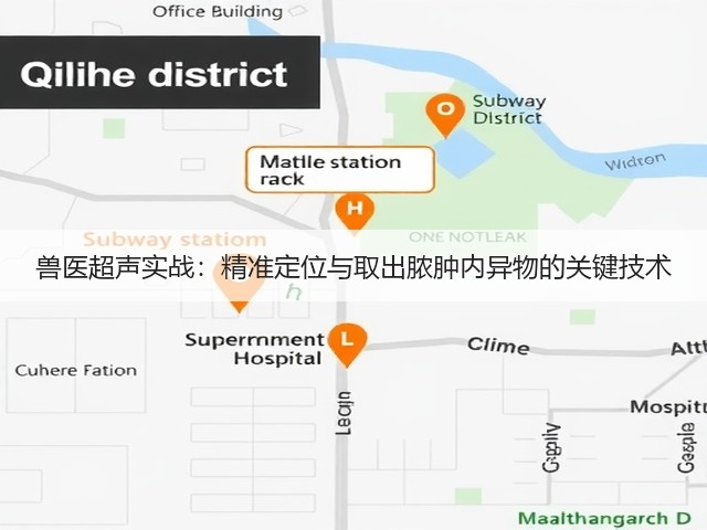 兽医超声实战:精准定位与取出脓肿内异物的关键技术(图3) 兽医超声实战:精准定位与取出脓肿内异物的关键技术(图3)