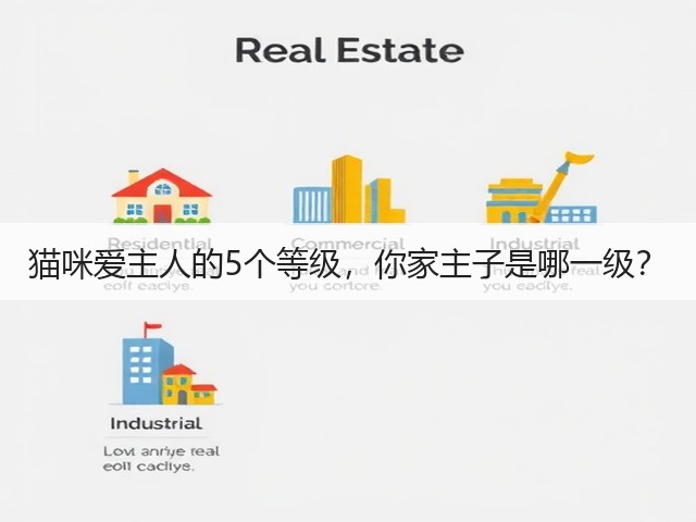 猫咪爱主人的5个等级,你家主子是哪一级?(图3) 猫咪爱主人的5个等级,你家主子是哪一级?(图3)