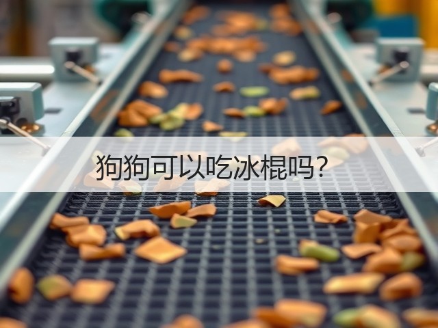 狗狗可以吃冰棍吗？(图1)
