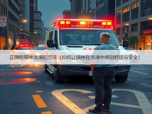 正确给猫咪洗澡的方法(如何让猫咪在洗澡中感到舒适与安全)(图3) 正确给猫咪洗澡的方法(如何让猫咪在洗澡中感到舒适与安全)(图3)