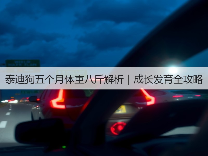 泰迪狗五个月体重八斤解析｜成长发育全攻略