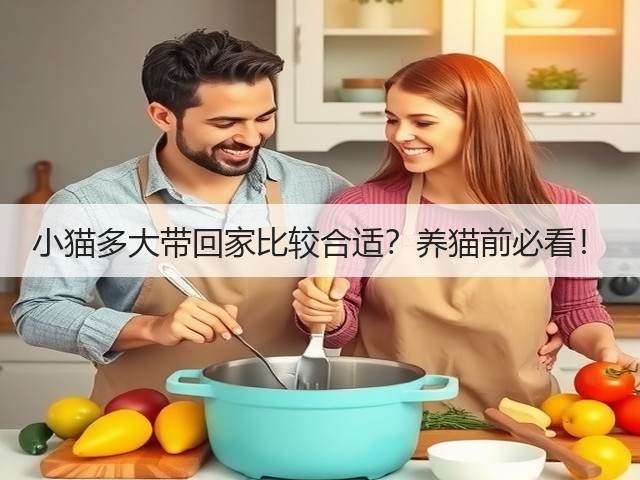 小猫多大带回家比较合适?养猫前必看!(图3) 小猫多大带回家比较合适?养猫前必看!(图3)