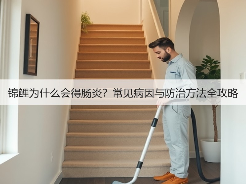 锦鲤为什么会得肠炎？常见病因与防治方法全攻略