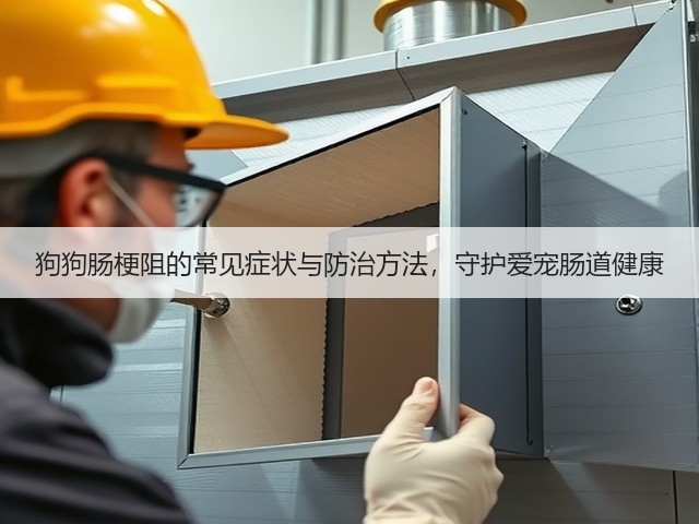 狗狗肠梗阻的常见症状与防治方法,守护爱宠肠道健康(图2) 狗狗肠梗阻的常见症状与防治方法,守护爱宠肠道健康(图2)