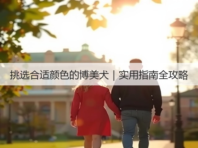 挑选合适颜色的博美犬|实用指南全攻略(图3) 挑选合适颜色的博美犬|实用指南全攻略(图3)
