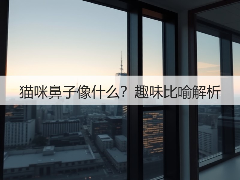 猫咪鼻子像什么？趣味比喻解析