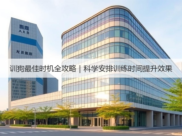 训狗最佳时机全攻略｜科学安排训练时间提升效果(图1)