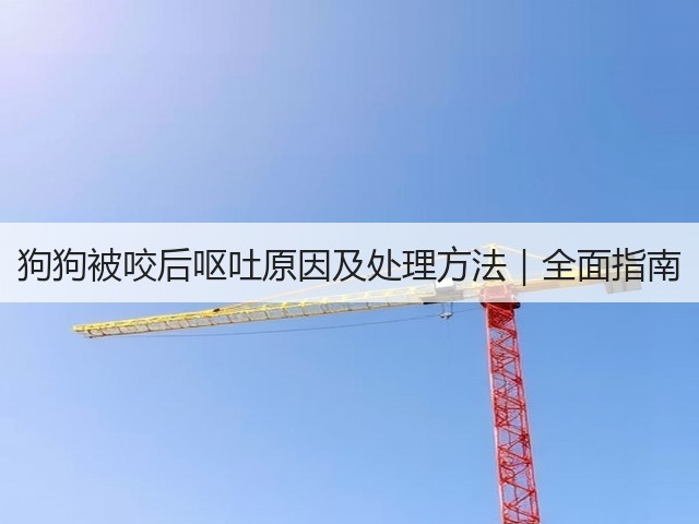 狗狗被咬后呕吐原因及处理方法|全面指南(图2) 狗狗被咬后呕吐原因及处理方法|全面指南(图2)