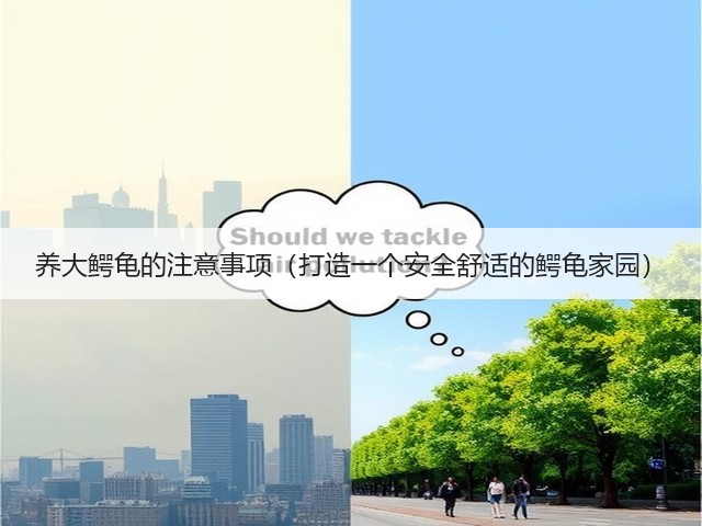 养大鳄龟的注意事项(打造一个安全舒适的鳄龟家园)(图2) 养大鳄龟的注意事项(打造一个安全舒适的鳄龟家园)(图2)
