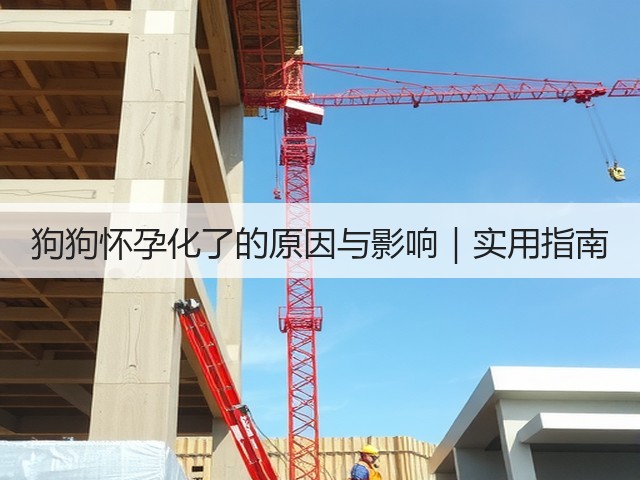 狗狗怀孕化了的原因与影响|实用指南(图1) 狗狗怀孕化了的原因与影响|实用指南(图1)