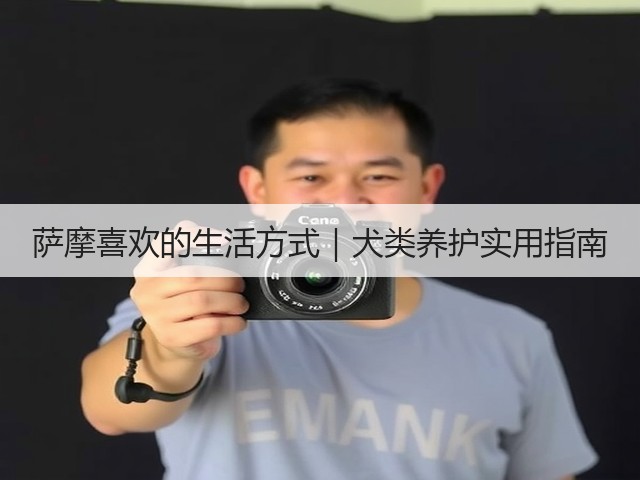 萨摩喜欢的生活方式|犬类养护实用指南(图1) 萨摩喜欢的生活方式|犬类养护实用指南(图1)