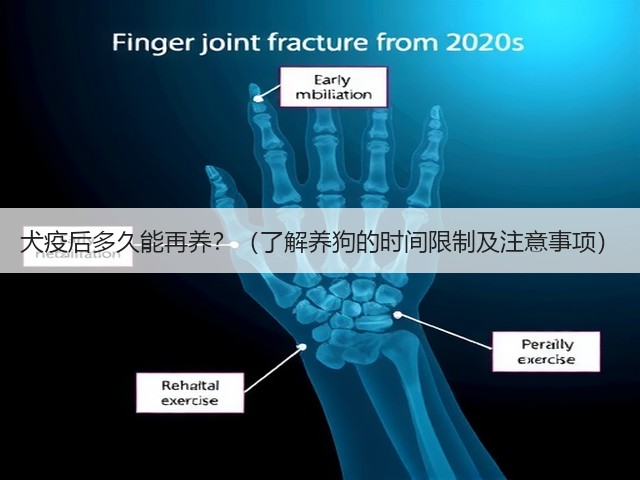 犬疫后多久能再养?(了解养狗的时间限制及注意事项)(图3) 犬疫后多久能再养?(了解养狗的时间限制及注意事项)(图3)