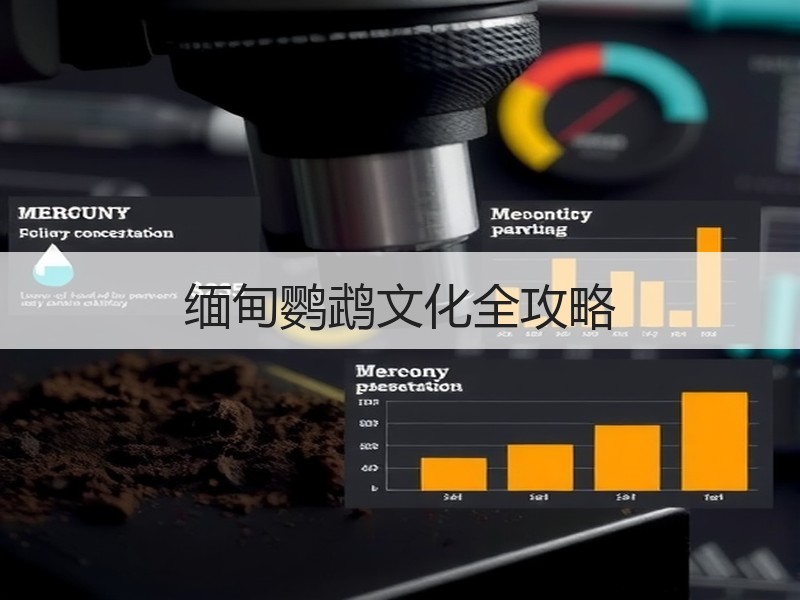 缅甸鹦鹉文化全攻略