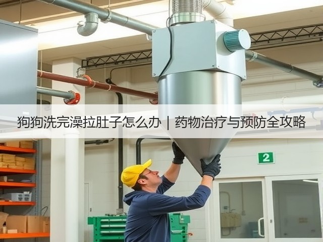 狗狗洗完澡拉肚子怎么办｜药物治疗与预防全攻略(图2)
