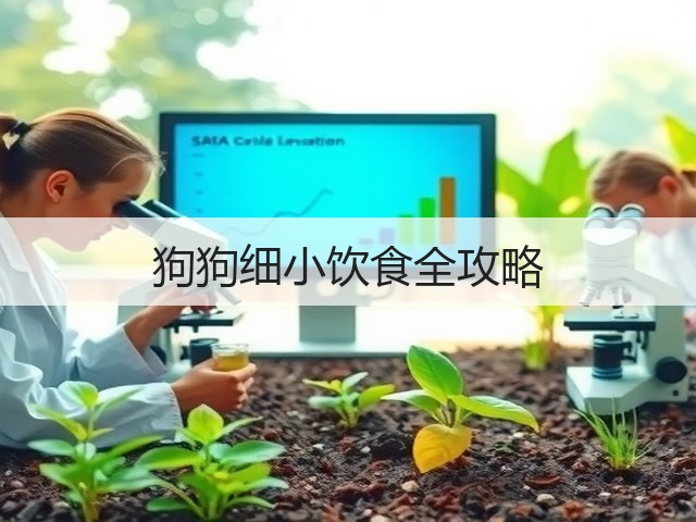 狗狗细小饮食全攻略(图1) 狗狗细小饮食全攻略(图1)