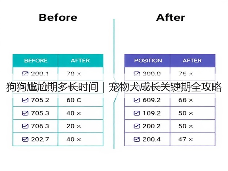 狗狗尴尬期多长时间｜宠物犬成长关键期全攻略