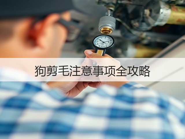 狗剪毛注意事项全攻略(图3) 狗剪毛注意事项全攻略(图3)