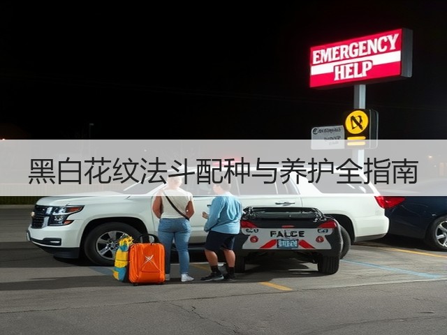 黑白花纹法斗配种与养护全指南(图2) 黑白花纹法斗配种与养护全指南(图2)