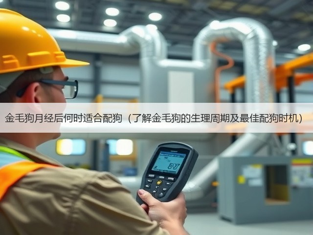 金毛狗月经后何时适合配狗(了解金毛狗的生理周期及最佳配狗时机)(图2) 金毛狗月经后何时适合配狗(了解金毛狗的生理周期及最佳配狗时机)(图2)