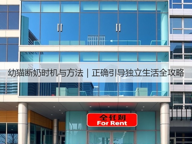 幼猫断奶时机与方法|正确引导独立生活全攻略(图3) 幼猫断奶时机与方法|正确引导独立生活全攻略(图3)